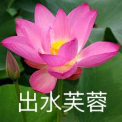 抓住魔王游戏下载